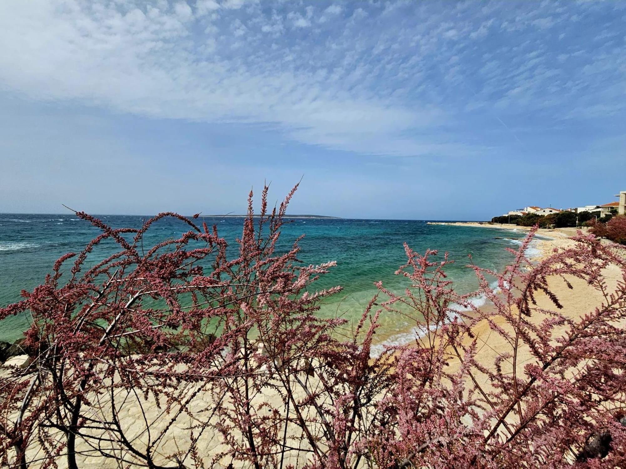 Apartments Cikac II - Modern Apartments By The Beach Mandre Exterior foto